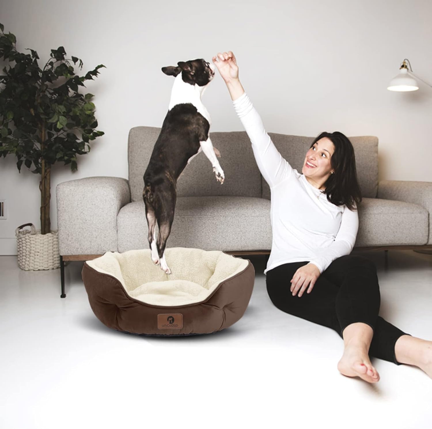 CozyPaws™: Small Dog Bed & Cat Bed - Extra Soft, Machine Washable, Anti-Slip, Water-Resistant Bottom - Perfect for Puppies, Kittens, and Indoor Pets