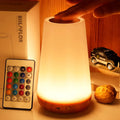 Color Changing Night Light