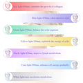 RadiantGlow™: 7 Color LED Facial Neck Mask - Harness the Power of Light Therapy for Glowing Skin